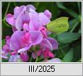 3. Quartal 2025