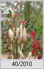 Herbstfarben