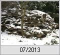 Winterruhe