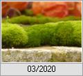 Rot und Grn