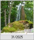 Der Wasserbaum von Ockensen